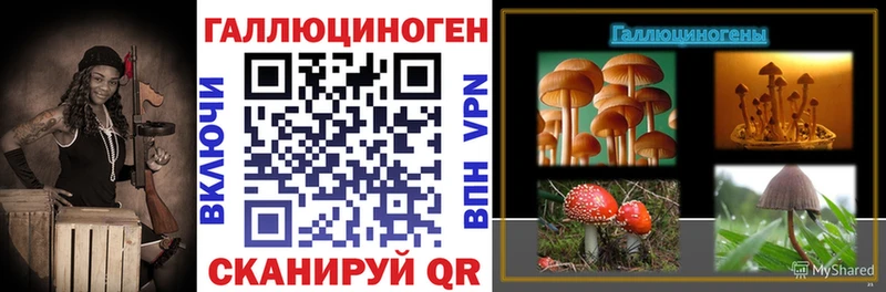 Купить  Богучар  Псилоцибиновые грибы Psilocybine cubensis 